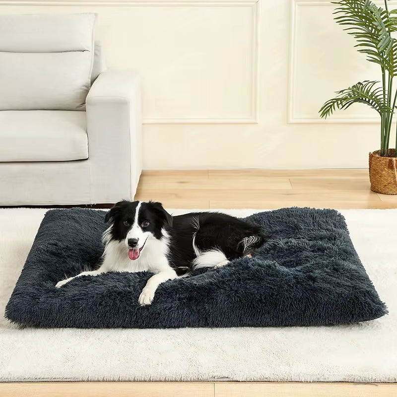 Soft Dog Beds House Soft Long Plush Best Pet Dog Bed for Dogs Basket Pet Products Cushion Cat Bed Cat Mat Animals Sleeping Sofa