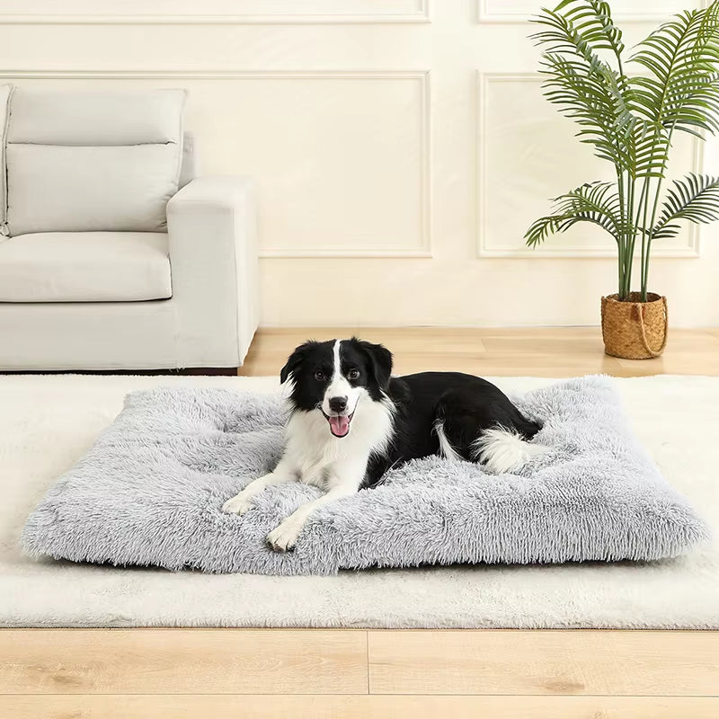 Soft Dog Beds House Soft Long Plush Best Pet Dog Bed for Dogs Basket Pet Products Cushion Cat Bed Cat Mat Animals Sleeping Sofa